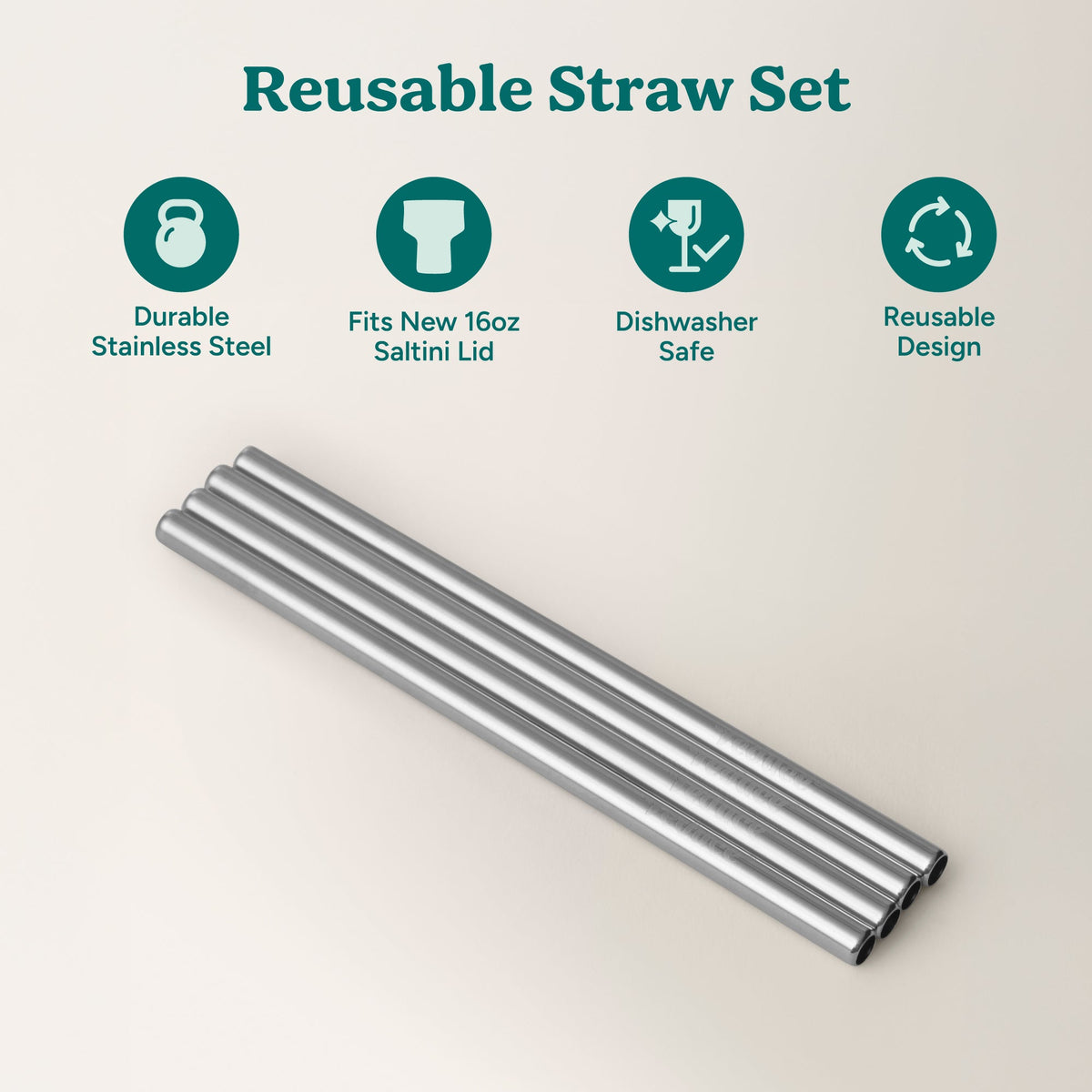 saltini-straw-set-c2 4PK_SaltiniStraws_SS-2.jpg