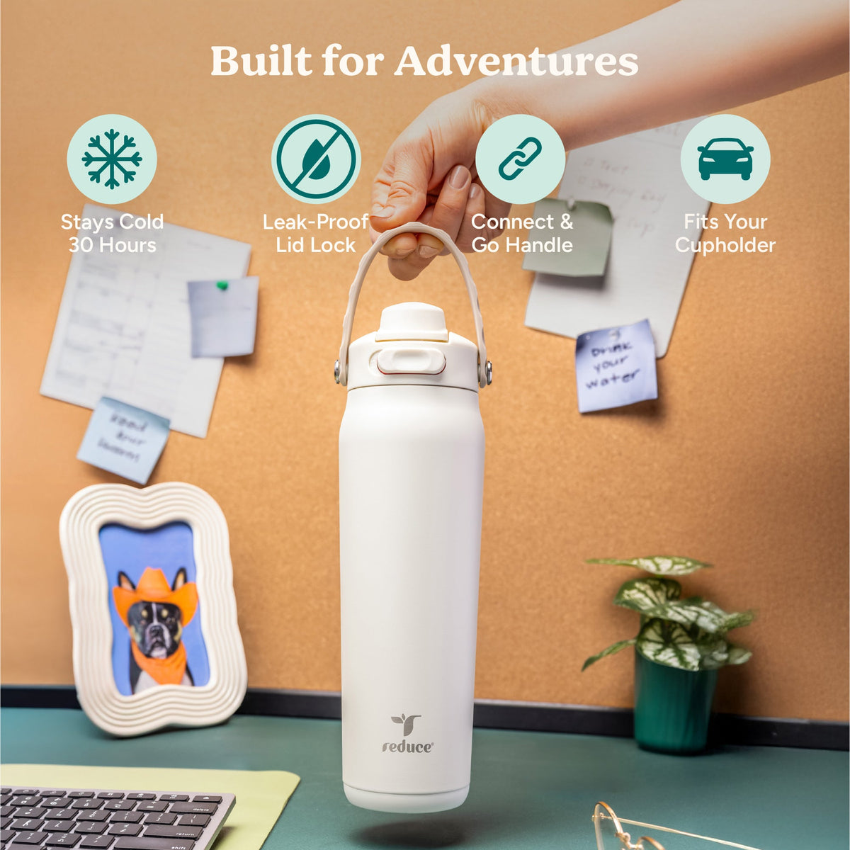 aura-26-oz-k2 Aura_26oz_Unbleached_PDP_Infographic_1.jpg