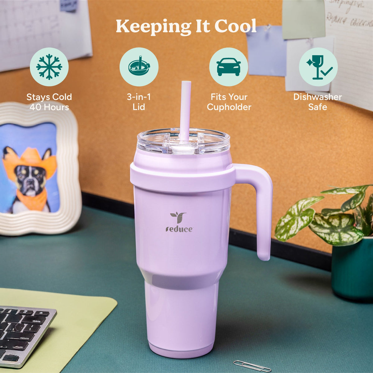 cold1-40-oz-y6 Cold1_40oz_Daiquiri_Infographic_1.jpg