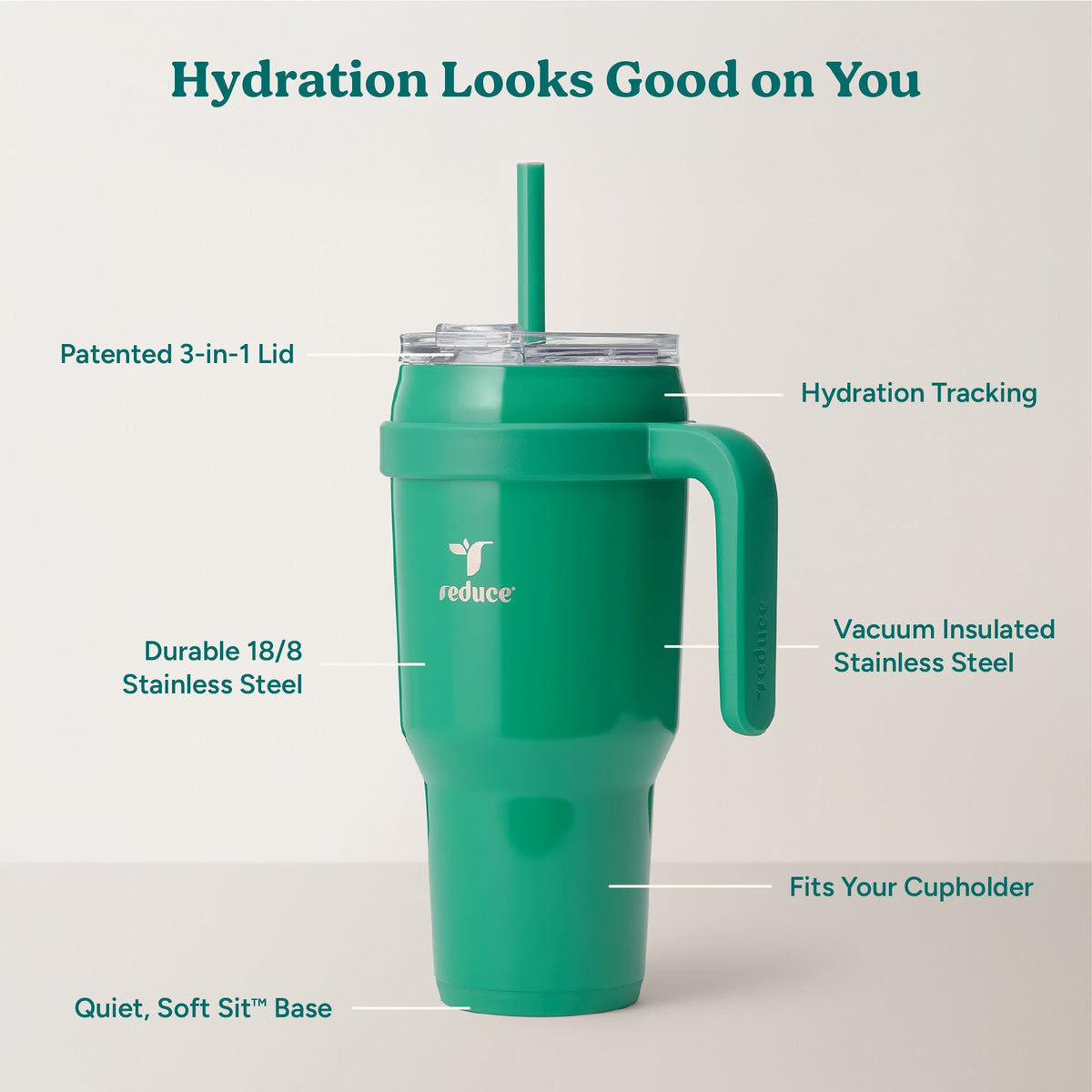 cold1-40-oz-y6 Cold1_40oz_PalmLeaf_Infographic_2.jpg