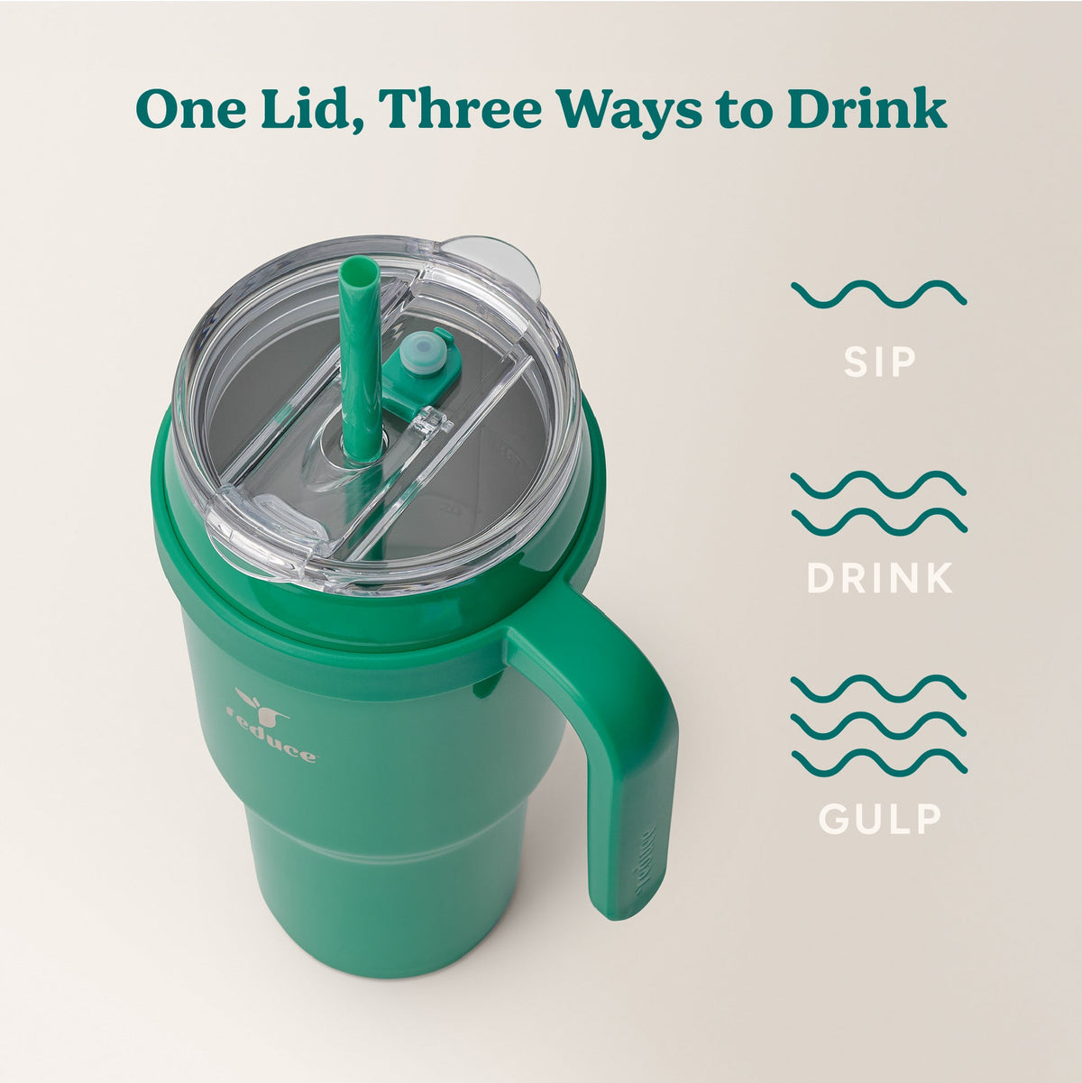 cold1-40-oz-y6 Cold1_40oz_PalmLeaf_Infographic_3.jpg