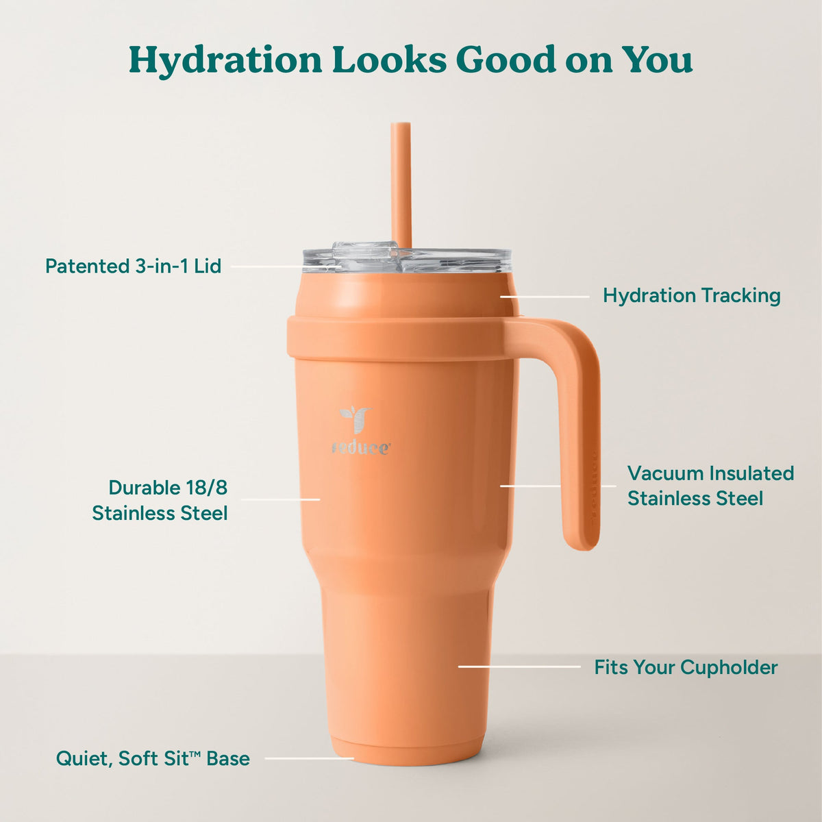 cold1-40-oz-y6 Cold1_40oz_Papaya_Infographic_2.jpg