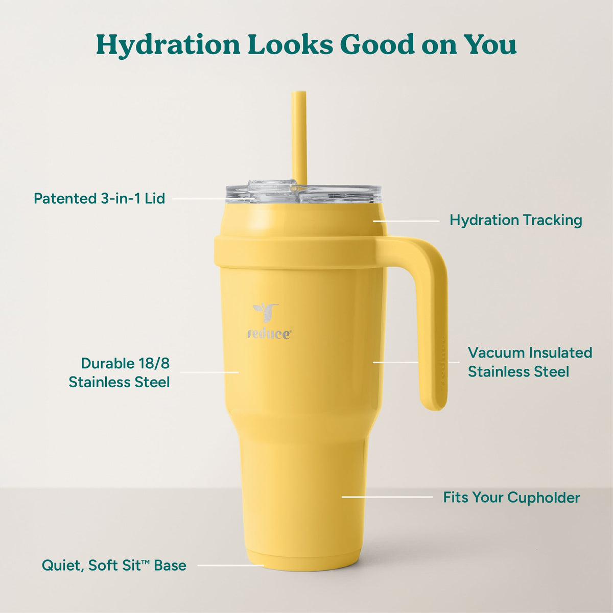 cold1-40-oz-y6 Cold1_40oz_Pineapple_Infographic_2.jpg